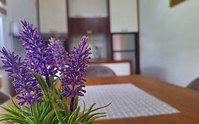Apartman Kovaci