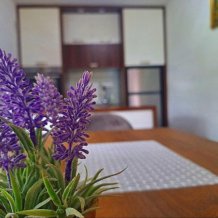 Apartman Kovaci Sarajewo Zewnętrze zdjęcie