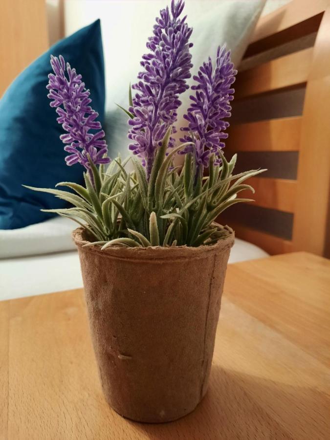 Apartman Kovaci Sarajewo Zewnętrze zdjęcie